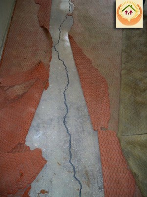 Cracks in the foundation Image